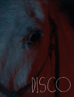 Disco (2026) Disco (2026)