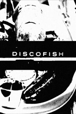 Discofish (2022)