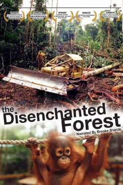 Disenchanted Forest (2002)