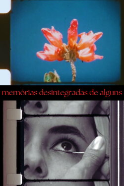 Disintegrated Memories of Some (2024)