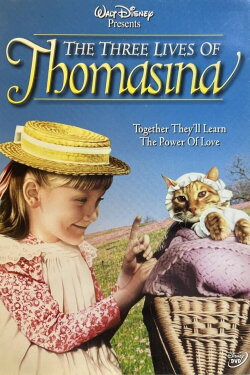 Disney's Beautiful Witch (2004)