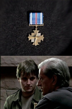 Distinguished Flying Cross (2011)