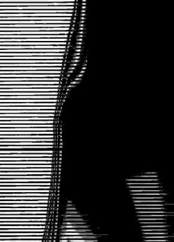 distorted areas~ (2008)
