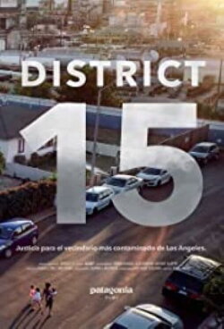 District 15 (2020)