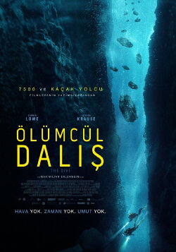 Dive (2023) Dive (2023)