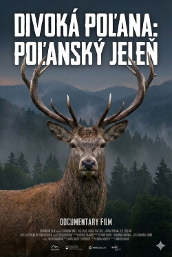 Divoká Poľana: Poľanský jeleň (2022) Divoká Poľana: Poľanský jeleň (2022)