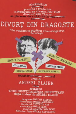 Divorț... din dragoste (1992)