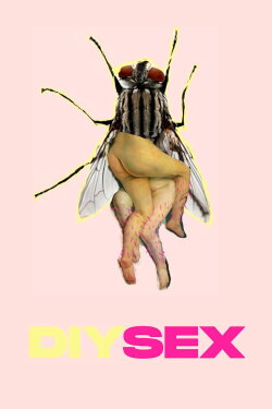 DIYSEX (2019) DIYSEX (2019)