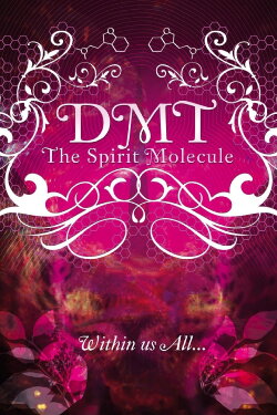 DMT: The Spirit Molecule (2010) DMT: The Spirit Molecule (2010)