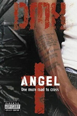 DMX: Angel (2001)