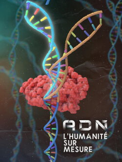 DNA: Custom Humanity (2018)