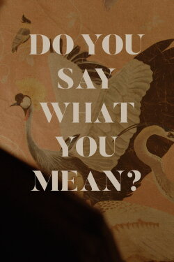Do You Say What You Mean? (2024) Do You Say What You Mean? (2024)