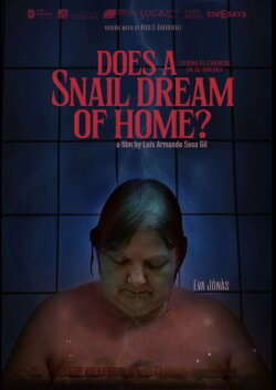 Does a Snail Dream of Home? (2023) Does a Snail Dream of Home? (2023)