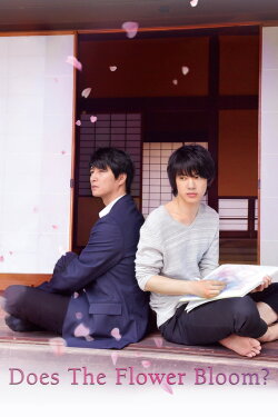 Does the Flower Bloom? (2018) Does the Flower Bloom? (2018)