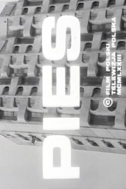 Dog (1981)