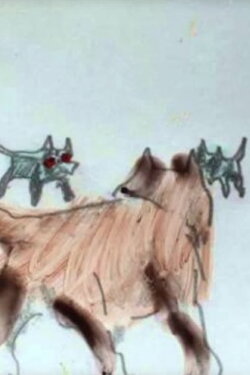 Dog (2001)