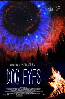 Dog Eyes (2021) Dog Eyes (2021)