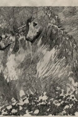 Dog Glossary (2013)
