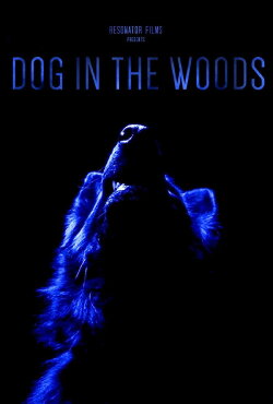 Dog in the Woods (2019) Dog in the Woods (2019)