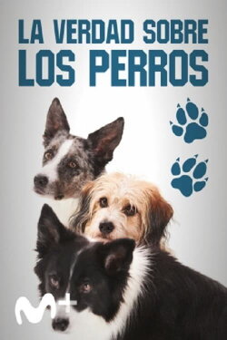 Dog Tales (2020) Dog Tales (2020)