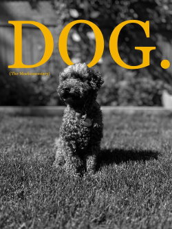 Dog (The Mockumentary) (2024) Dog (The Mockumentary) (2024)