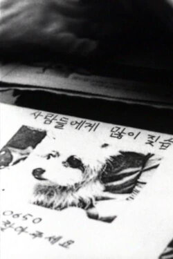 Doggy (2003)