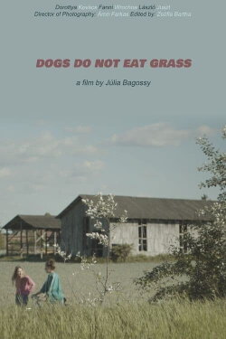 Dogs Do Not Eat Grass (2022) Dogs Do Not Eat Grass (2022)
