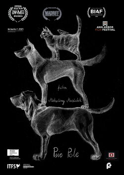 Dog’s Field (2020) Dog’s Field (2020)