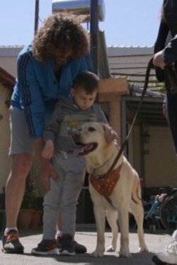 Dogs That Change Lives (2020)