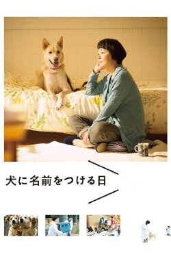 Dogs Without Names (2015)