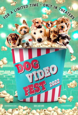 DogVideoFest 2022 (2022) DogVideoFest 2022 (2022)
