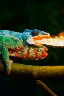 Dolby Atmos and Dolby Vision Demo: Chameleon (2019)