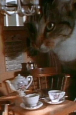 Doll House (1970)