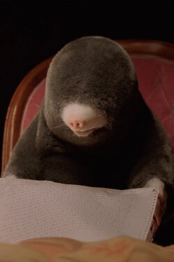 Dolle (2023)