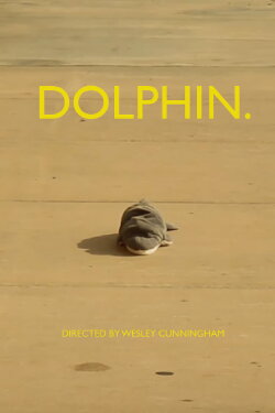 dolphin. (2022)