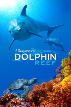 Dolphin Reef (2018) Dolphin Reef (2018)