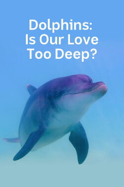 Dolphins: Is Our Love Too Deep? (2023) Dolphins: Is Our Love Too Deep? (2023)