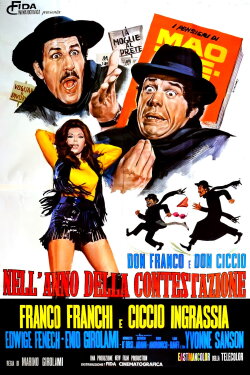 Don Franco and Don Ciccio in a Year of Protest (1970)