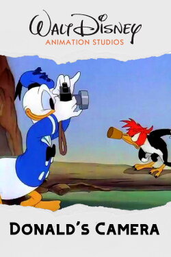Donald's Camera (1941)