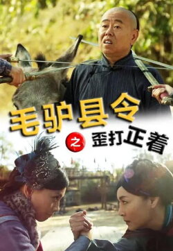 Donkey Magistrate: A Crooked Hit (2014) Donkey Magistrate: A Crooked Hit (2014)
