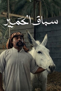 Donkey Race (2024)