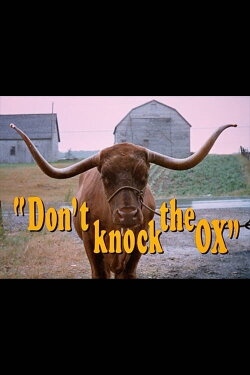 Don't Knock the Ox (1970) Don't Knock the Ox (1970)