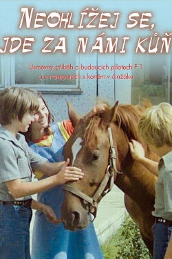 Don't Look Back, There Is a Horse Behind Us (1981) Don't Look Back, There Is a Horse Behind Us (1981)