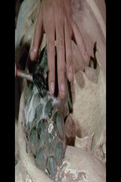Dos Reis Magos dos Tupiniquins (1985) Dos Reis Magos dos Tupiniquins (1985)