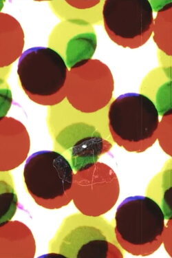 Dot Matrix (2017)