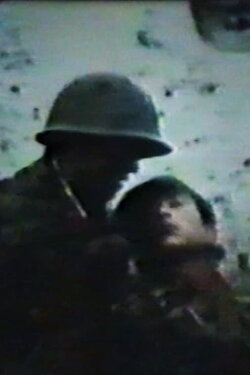 Dove Tree (1985)