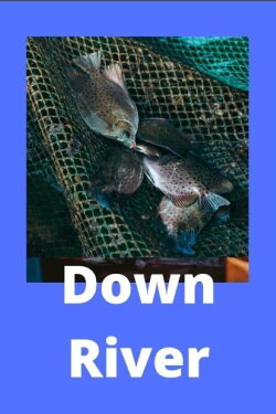 Down River (2021)