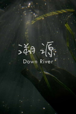 Down River (2016)
