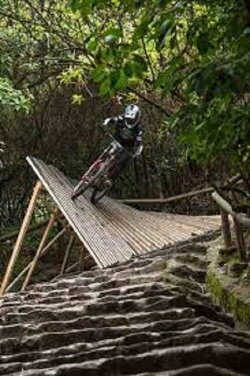 Downhill Urbano (2020) Downhill Urbano (2020)