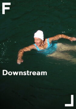 Downstream (2008) Downstream (2008)
